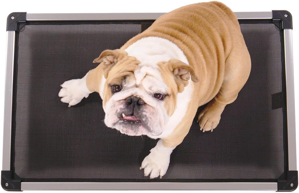 Chew Proof Elevated Cooling Outdoor Cot Bed for Small Dogs & Puppies - Virtually Indestructible, Preassembled, Withstands Aggressive Chewers - S, Black Mesh